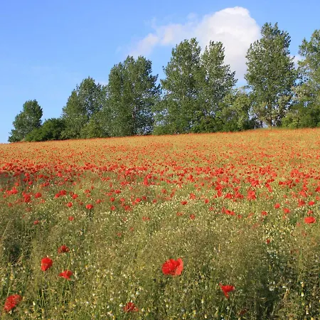 Seaside Comfort For 5 Guests * Rerik