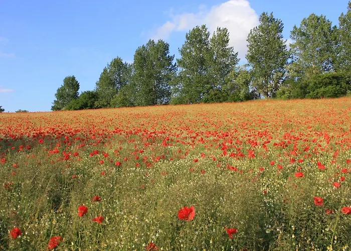 Seaside Comfort For 5 Guests * Rerik